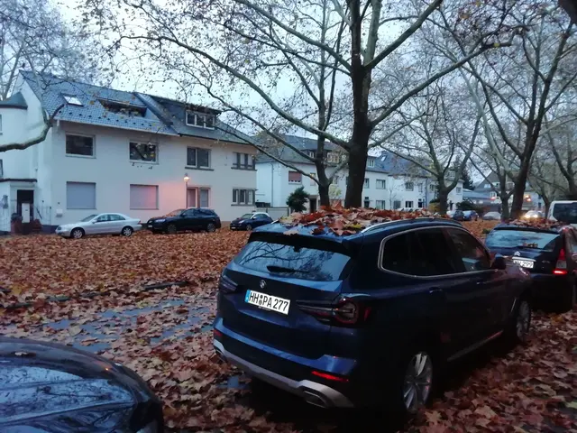 November auf der Parkinsel: In der Schwanthalerallee findet man nach 19 Uhr keinen Parkplatz mehr.  | Foto: Julia Glöckner
