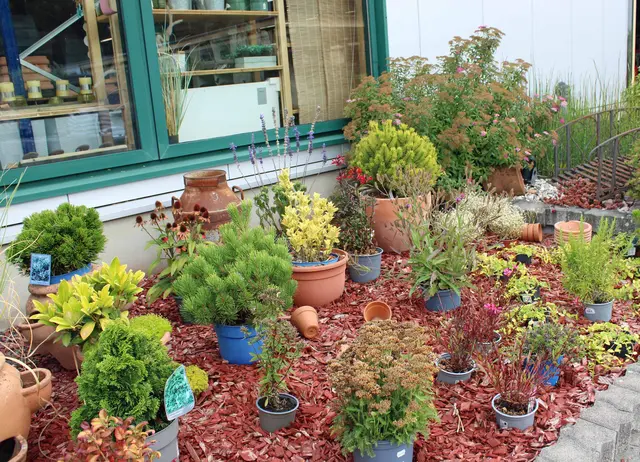 Auf dem Gelände des Landfuxx-Marktes können sich Kunden auch für die Gartengestaltung inspirieren lassen | Foto: Monika Klein