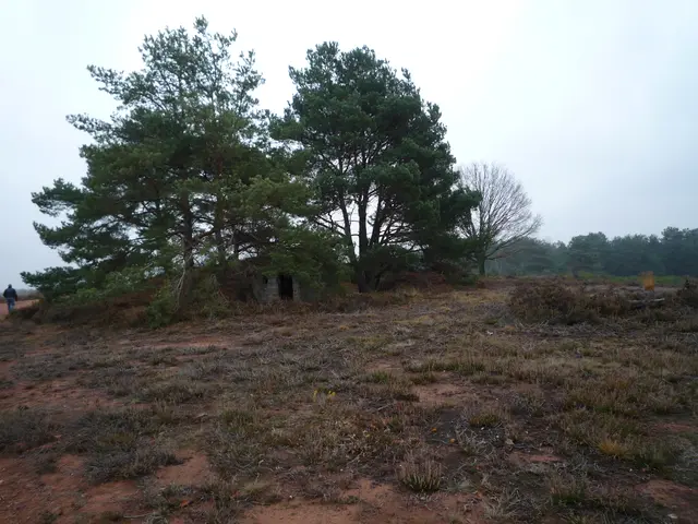 Mehlinger Heide | Foto: Heinrich Schneider