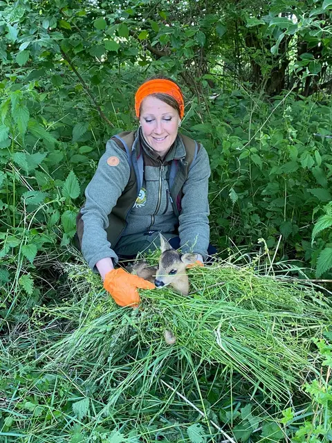 Anne Raststätter nimmt das kleine Kitz behutsam auf, um es für die Zeit während der Mahd in eine mit Gras ausgelegte Kiste zu setzen | Foto: Mohn