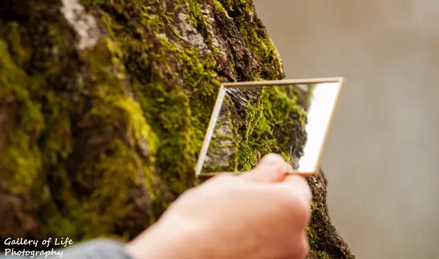 Reflektion in der Natur | Foto: Melanie Kirsch