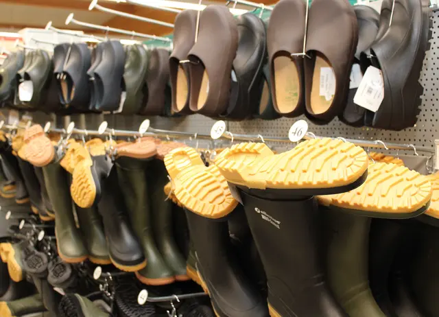 Unverzichtbar in der nasskalten Jahreszeit: Gummistiefel und Clogs für trockene Füße | Foto: Monika Klein