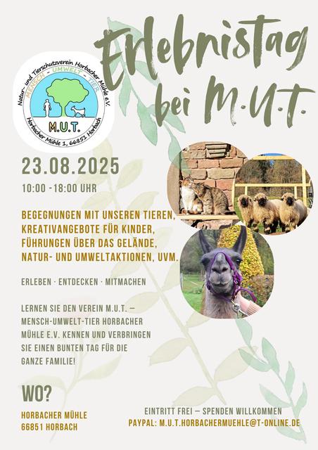 Foto: Denise Müller