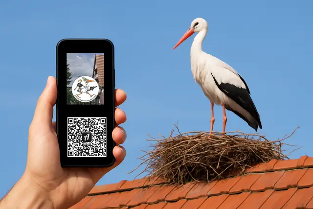 Mit der actionbound-App das Leben der Störche erkunden | Foto: Montage: Heike Schwitalla