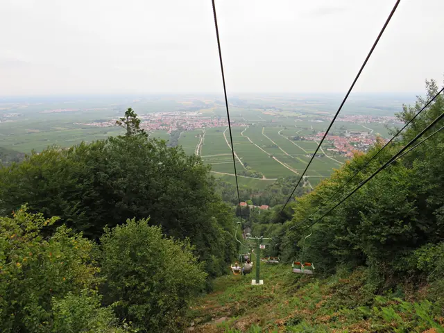 Runter geht's! | Foto: Brigitte Melder