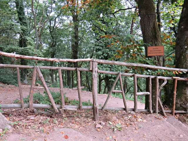 TALFAHRT in Holz | Foto: Brigitte Melder