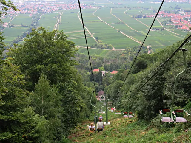 Foto: Brigitte Melder