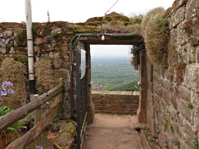 Foto: Brigitte Melder