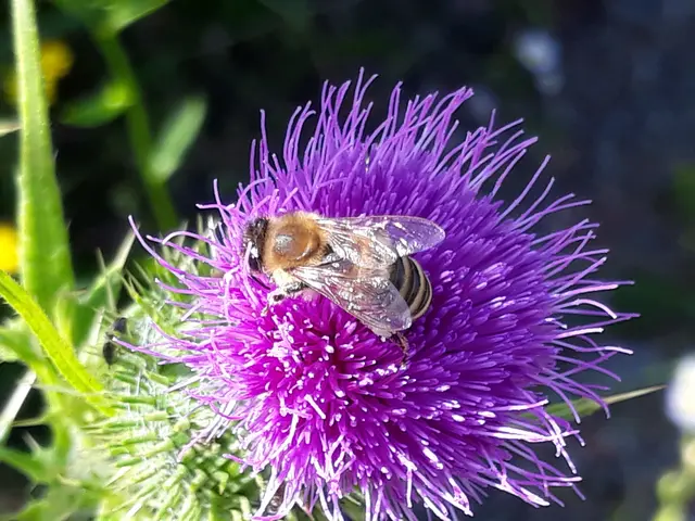 Foto: ELISABETH WEBER