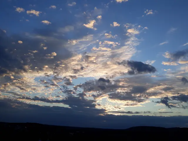 Foto: ELISABETH WEBER