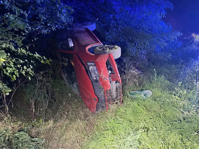 das Unfallfahrzeug im Graben  | Foto: Pol Wörth 