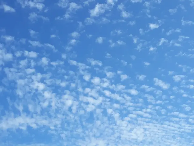 Foto: ELISABETH WEBER