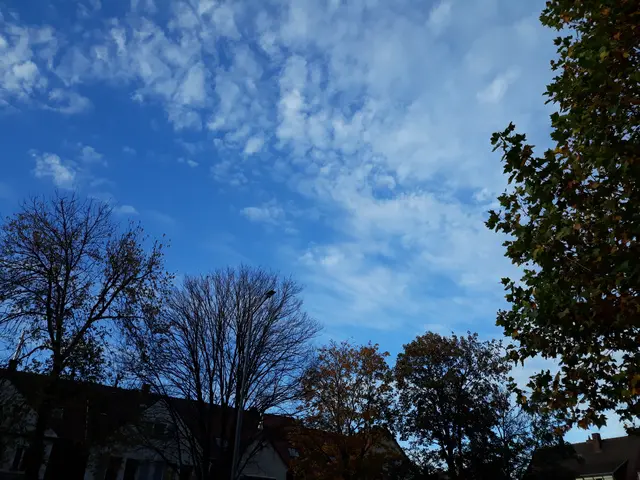 Foto: ELISABETH WEBER