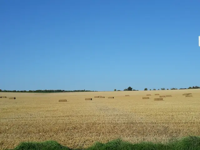 Foto: ELISABETH WEBER