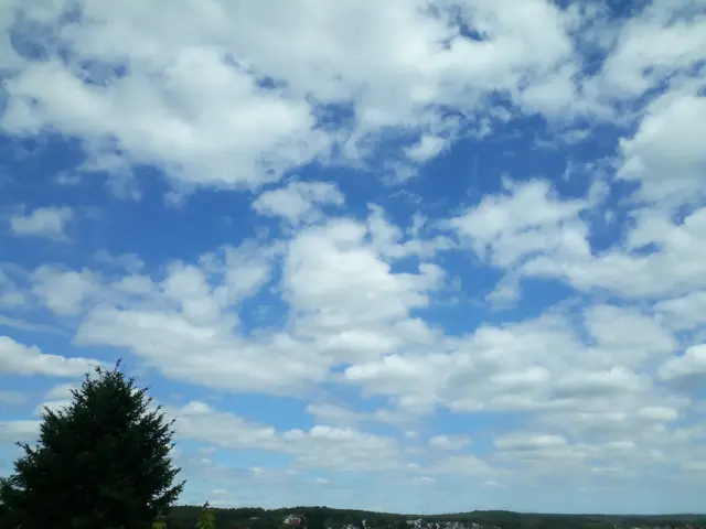 Foto: ELISABETH WEBER