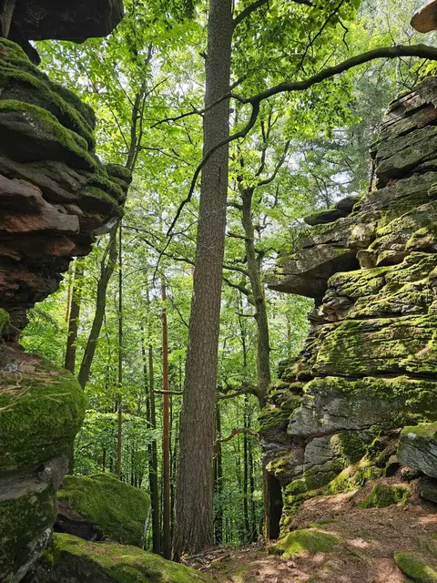 Felsen | Foto: Ich