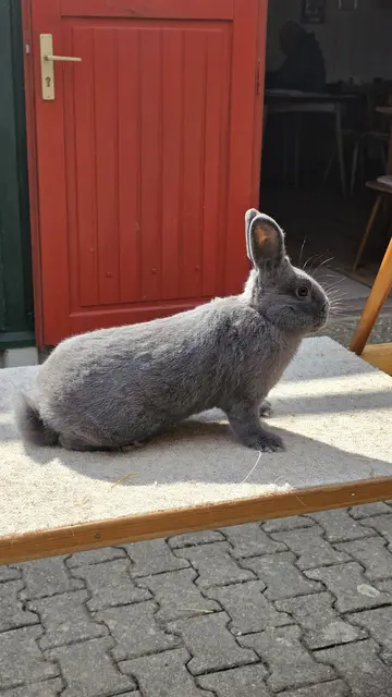Holicer präsentiert sich | Foto: Bianca Archut-Schiele