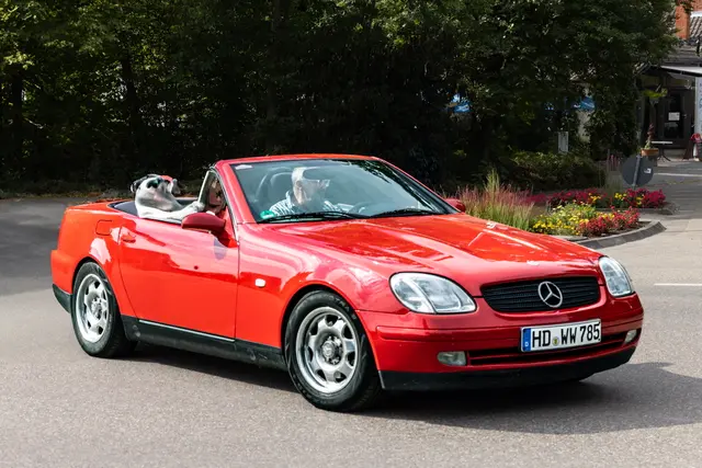 Foto: Johann-Peter Melder