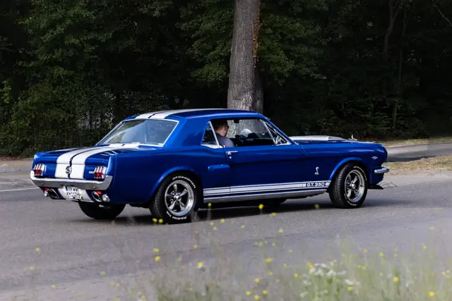 Foto: Johann-Peter Melder