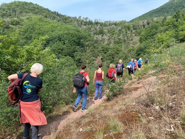 Aufstieg | Foto: Ich