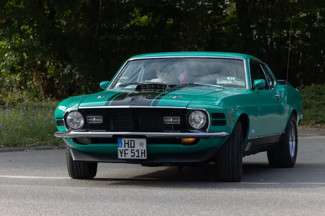 Foto: Johann-Peter Melder