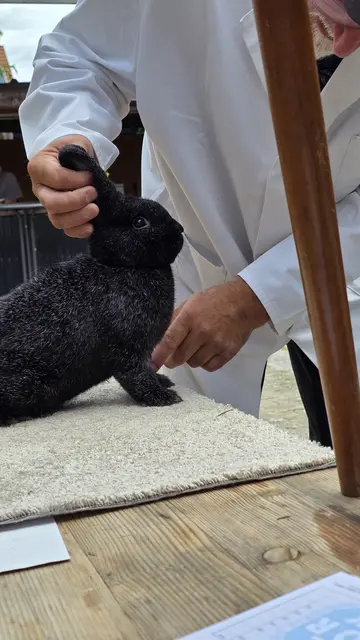 Haltung sieht gut aus - Kleinsilber schwarz | Foto: Bianca Archut-Schiele