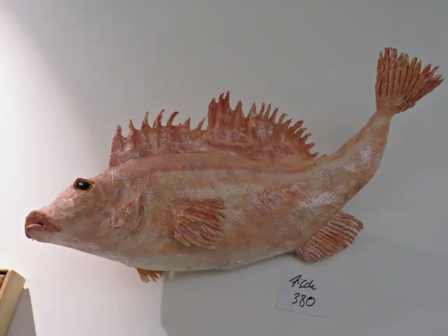 Foto: Brigitte Melder