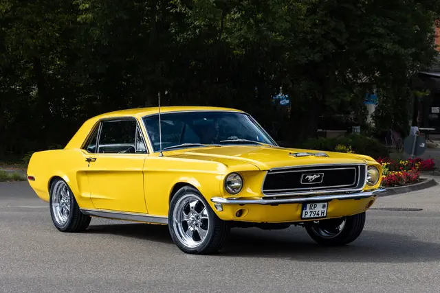 Foto: Johann-Peter Melder