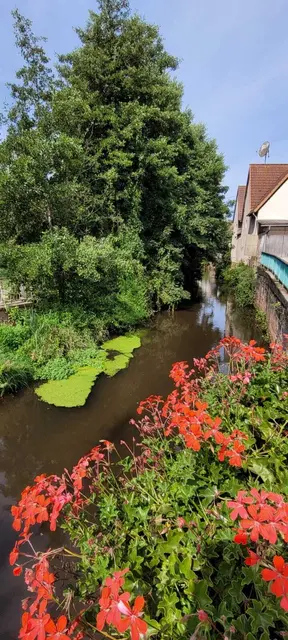 idyllischer Bachlauf | Foto: Ich