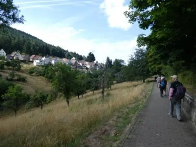 Blick auf Lambrecht | Foto: Ich