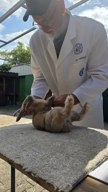 schauen wir mal ein bisschen genauer - Separator | Foto: Bianca Archut-Schiele