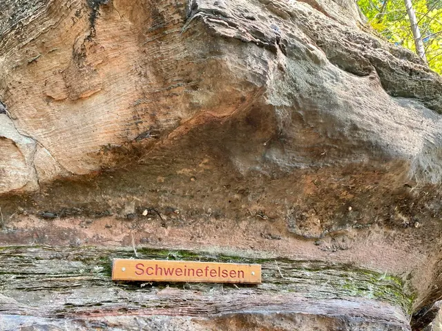 Schweinefelsen | Foto: Ich