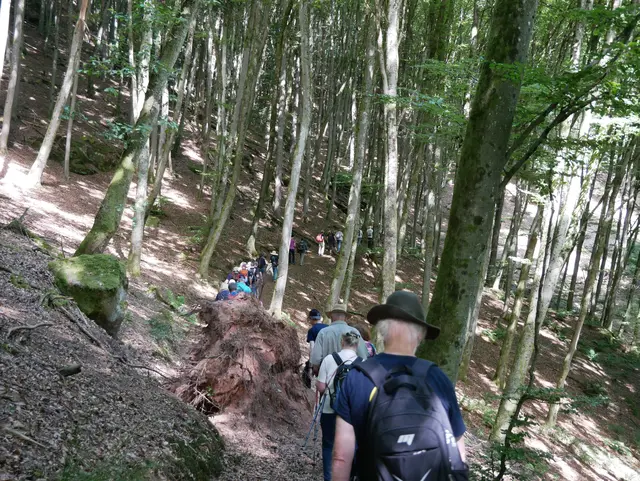 Gruppe unterwegs | Foto: Ich