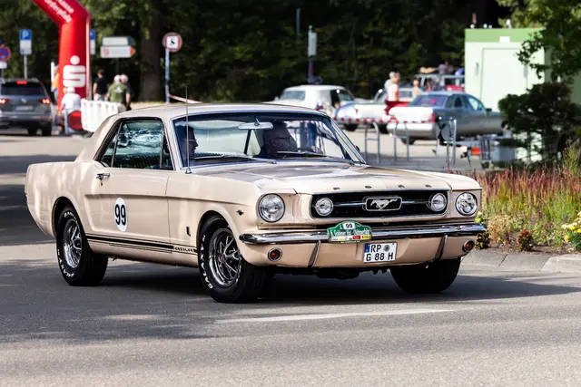 Foto: Johann-Peter Melder