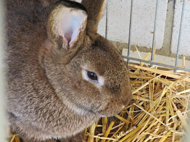 Foto: Brigitte Melder