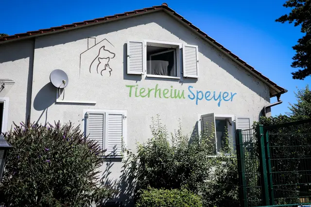 Das Tierheim in Speyer | Foto: Bauer
