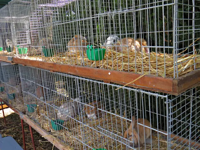 Foto: Brigitte Melder