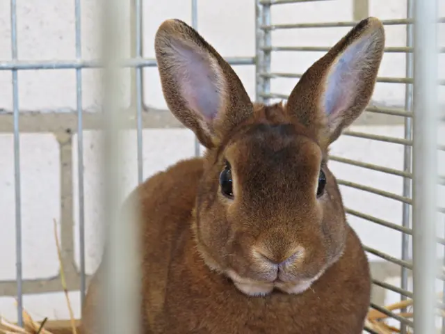 Foto: Brigitte Melder