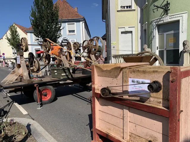 Foto: Michael Sonnick