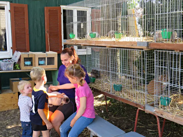 Publikumsmagnet für Kinder: Kaninchen zum Streicheln | Foto: Brigitte Melder