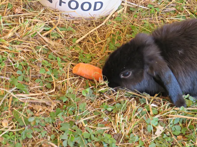 Foto: Brigitte Melder