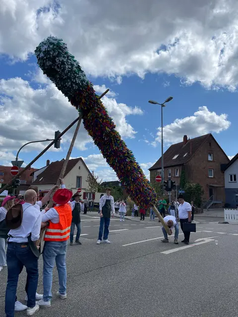 Die Straußjugend von Morlautern legt beim Umzug immer wieder einen Stopp ein und stampft den mächtigen Kerwestrauß auf | Foto: Alexander Lenz
