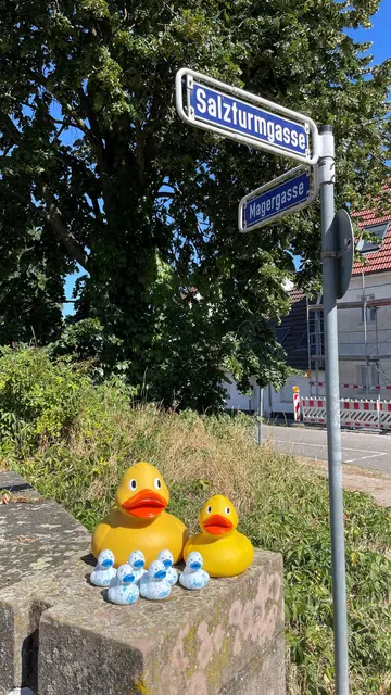 Start ist am Samstag, 13. September, um 15 Uhr bei der Salzturmbrücke | Foto: SWS