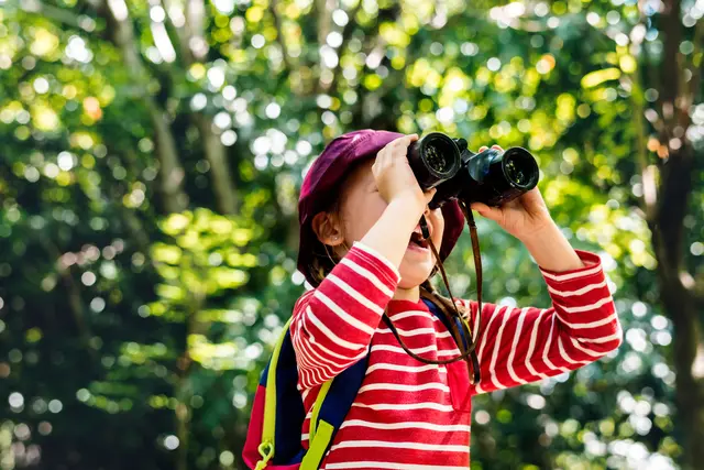 Kind im Wald Symbolbild | Foto: Rawpixel.com/stock.adobe.com
