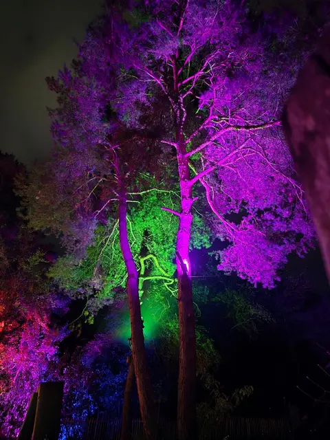 Eine Lichtillumination in luftiger Höhe | Foto: Berthold Müller