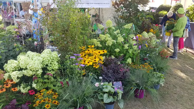 Foto: Team 4, Stadt Rockenhausen