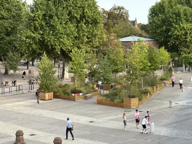 Der Rückbau startet: Letzte Chance, die Klimaoase auf dem Domplatz zu besuchen | Foto: Stadt Speyer