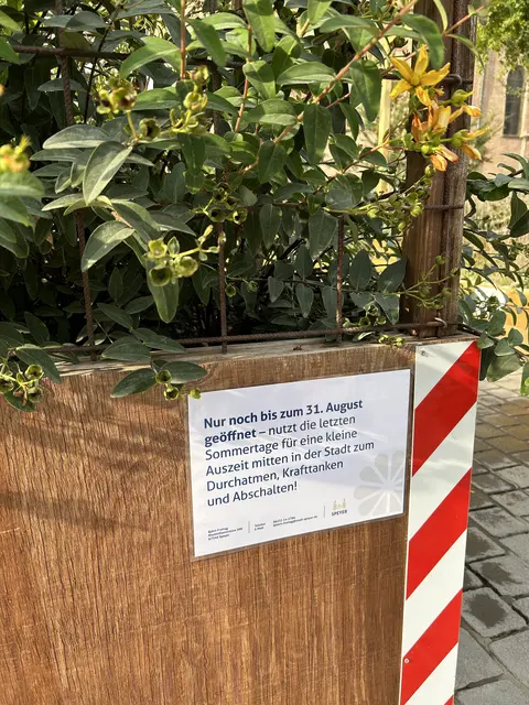 Noch bis Sonntag ist die Klimaoase für die Öffentlichkeit zugänglich - bis Ende September wird sie zurückgebaut | Foto: Stadt Speyer