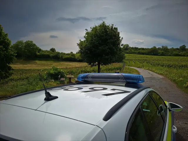 In Tiefenthal verunglückte eine 17-Jährige. | Foto: Polizei Grünstadt