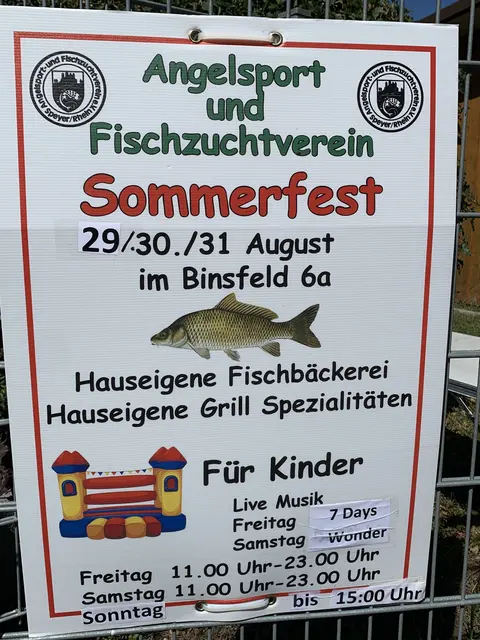 Fischer- und Sommerfest vom 29. bis 31.8 in Speyer | Foto: Michael Sonnick